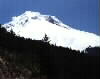 Mt. Hood