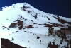 Mt. Hood