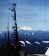 Mt. Jefferson